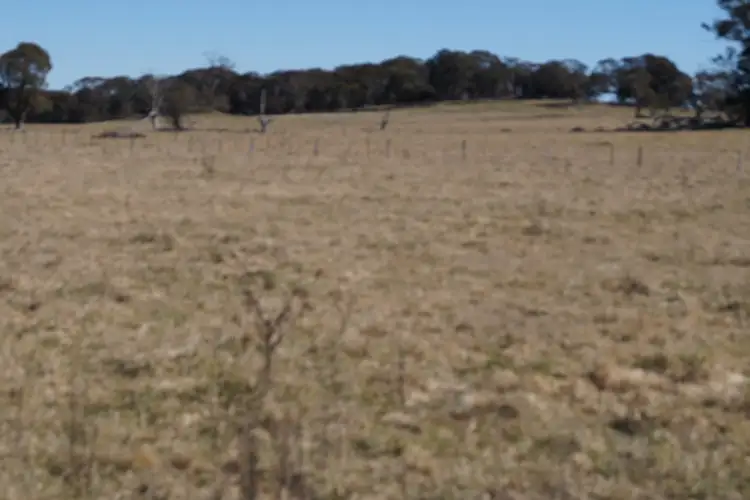 Third view of Homely rural property listing, 1350 Wards Mistake Road, Guyra NSW 2365