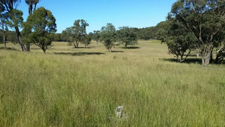 Seventh view of Homely rural property listing, 513 Westbrook Road, Guyra NSW 2365