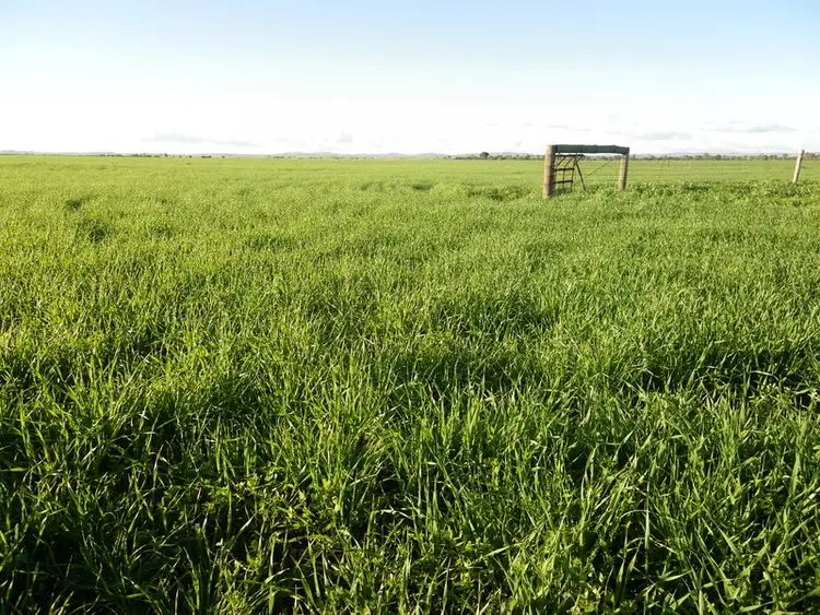 Third view of Homely rural property listing, Secs. 80, 81N & 81S Hundred, Appila SA 5480