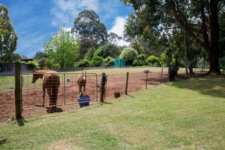 Fourth view of Homely rural property listing, 710 Beenak Road, Yellingbo VIC 3139