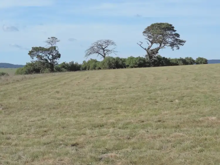 Second view of Homely rural property listing, 170 Gretta Road, Goulburn NSW 2580