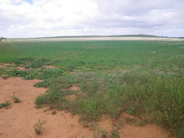 Sixth view of Homely rural property listing, Gladstone Caltowie Road, Gladstone SA 5473