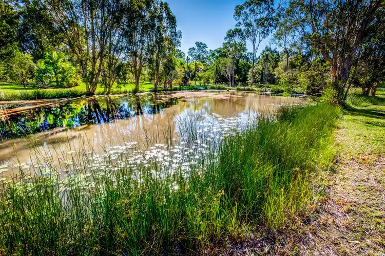 Fifth view of Homely rural property listing, 265 Counter Road, Wolvi QLD 4570