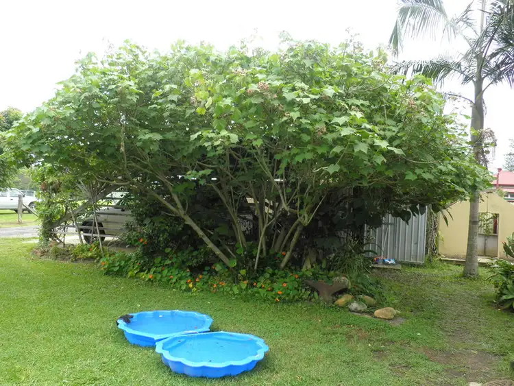 Sixth view of Homely house listing, 47 Broadway Street, Burringbar NSW 2483