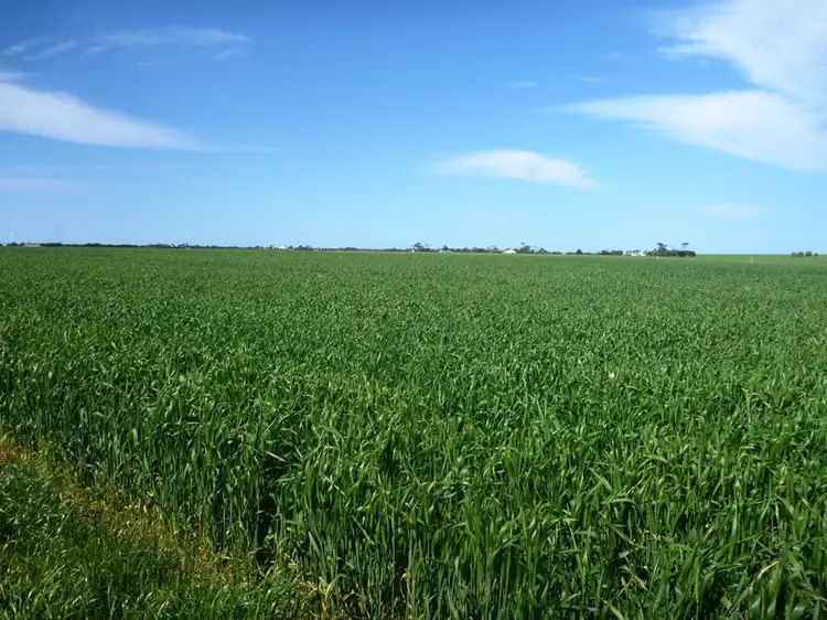 260 Lake Fowler Road, Coobowie SA 5583