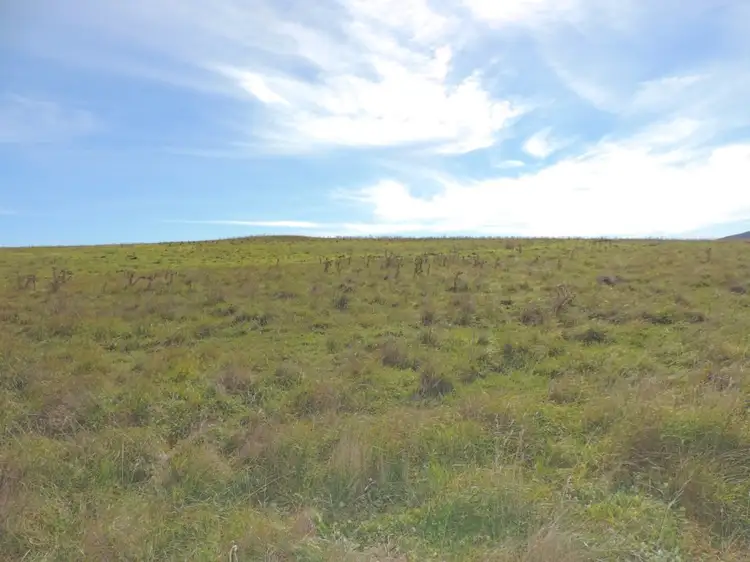 Fifth view of Homely rural property listing, 170 Gretta Road, Goulburn NSW 2580