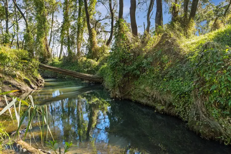 Fifth view of Homely rural property listing, Address available on request