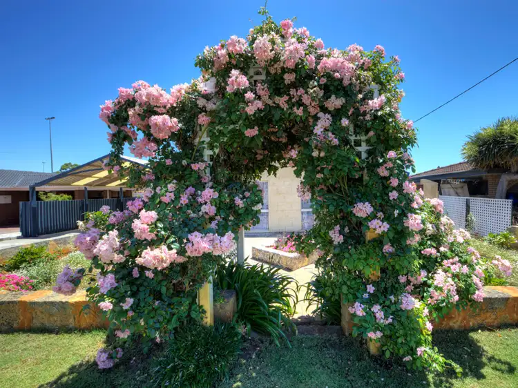 Fourth view of Homely house listing, 34 Rushbrook Way, Thornlie WA 6108