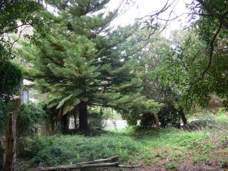 Third view of Homely land listing, 25 Wright Avenue, Upwey VIC 3158