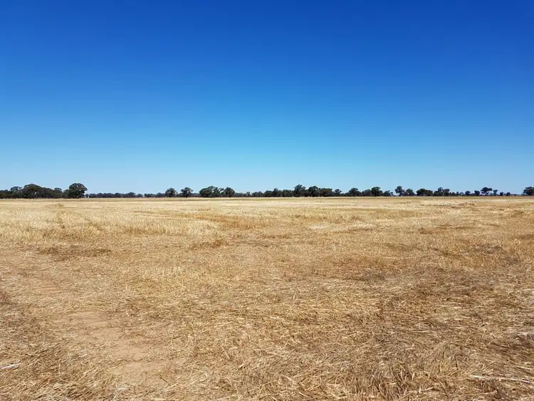 Main view of Homely rural property listing, 445 Kelly's Road, Numurkah VIC 3636