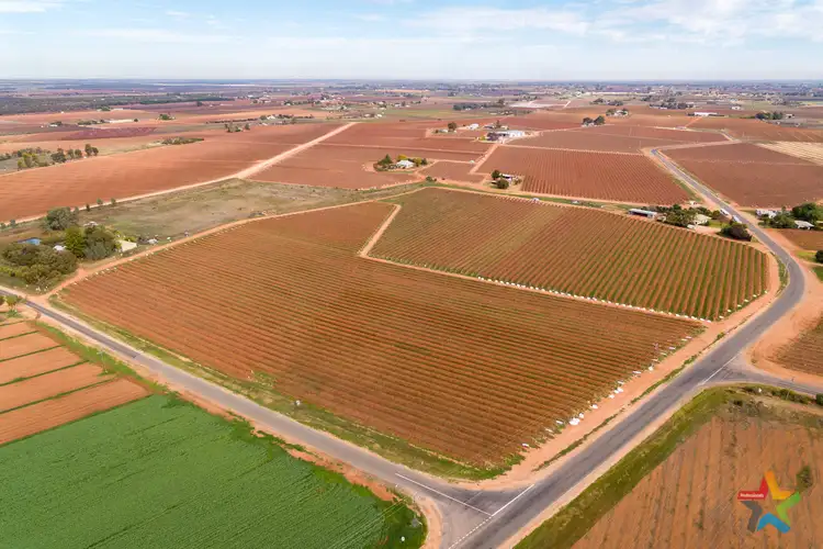 Third view of Homely rural property listing, 220 Stewart Road, Red Cliffs VIC 3496