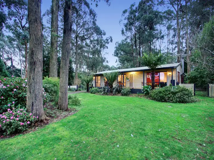 305 Glenburn/Kinglake Road, Kinglake VIC 3763