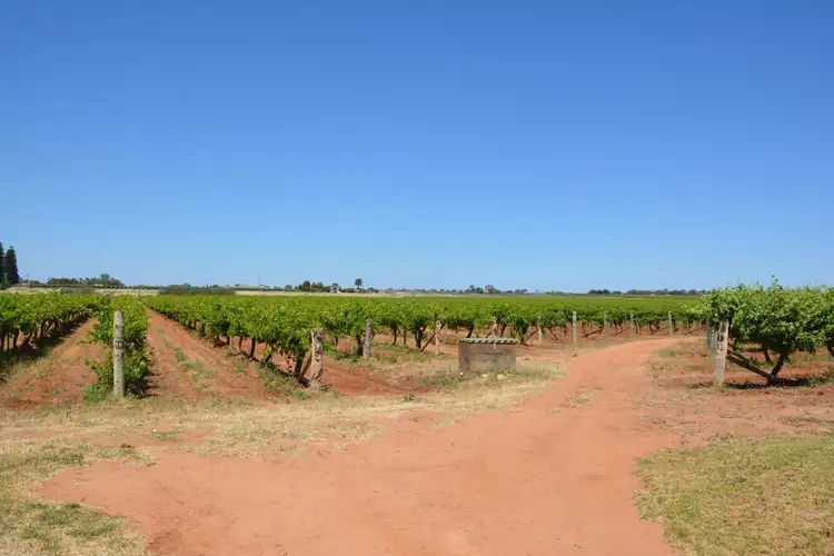 Third view of Homely rural property listing, 183 Sixth Street, Merbein VIC 3505