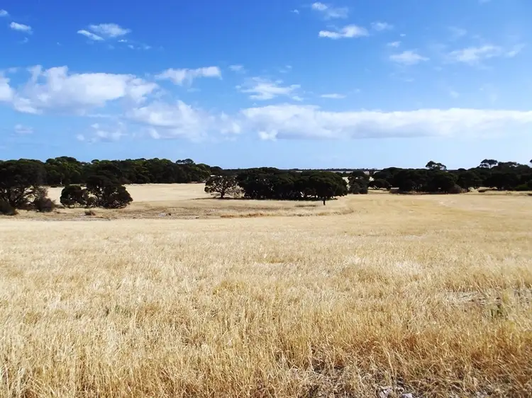 Main view of Homely rural property listing, 254 Reo Road, The Pines SA 5577