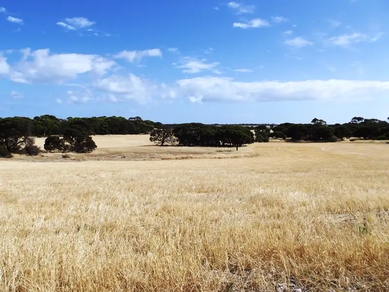 Main view of Homely rural property listing, 254 Reo Road, The Pines SA 5577