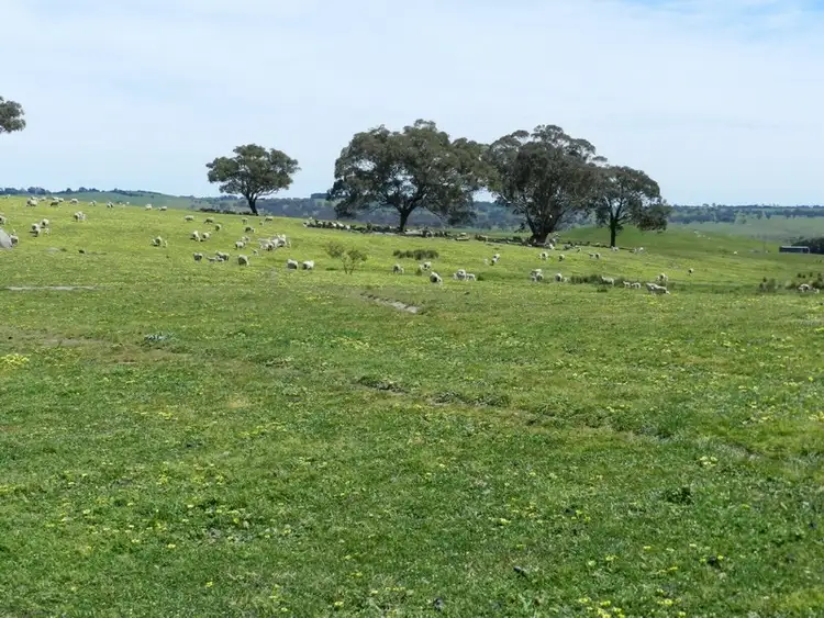 Fourth view of Homely rural property listing, 1159 Binda Road, Crookwell NSW 2583