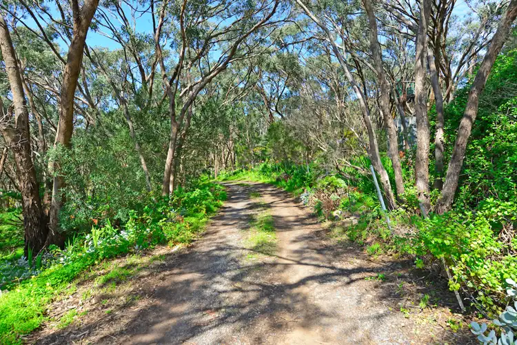 Second view of Homely rural property listing, 172 Pine Road, Woodcroft SA 5162