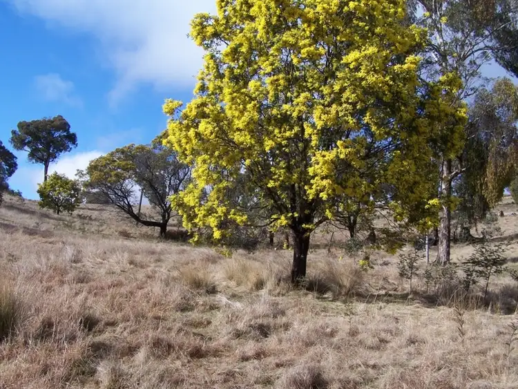 Third view of Homely rural property listing, 1252 Kangaloolah Road, Binda NSW 2583