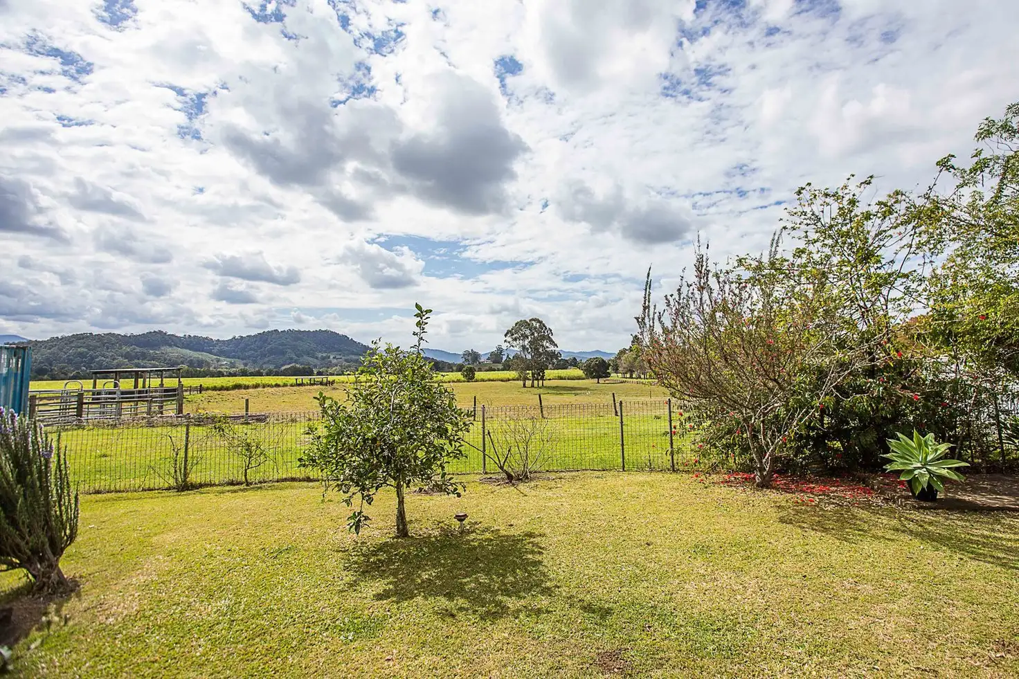Main view of Homely house listing, 14 Tamarisk Avenue, Murwillumbah NSW 2484