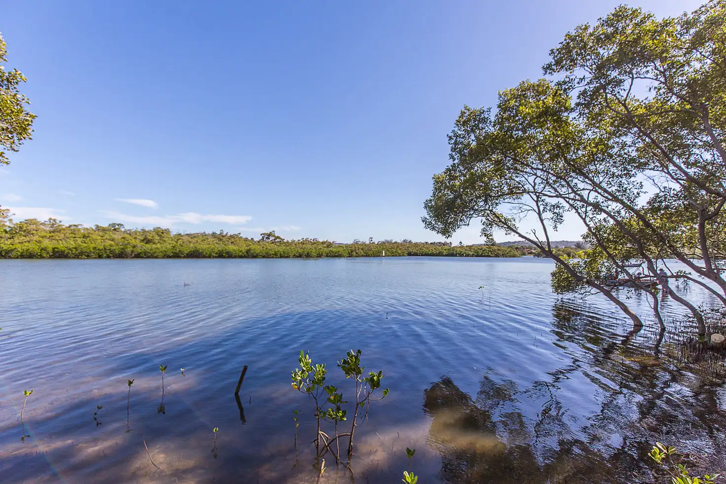 Main view of Homely house listing, 194 Kennedy Drive, Tweed Heads West NSW 2485