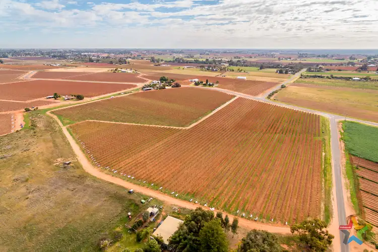 Second view of Homely rural property listing, 220 Stewart Road, Red Cliffs VIC 3496