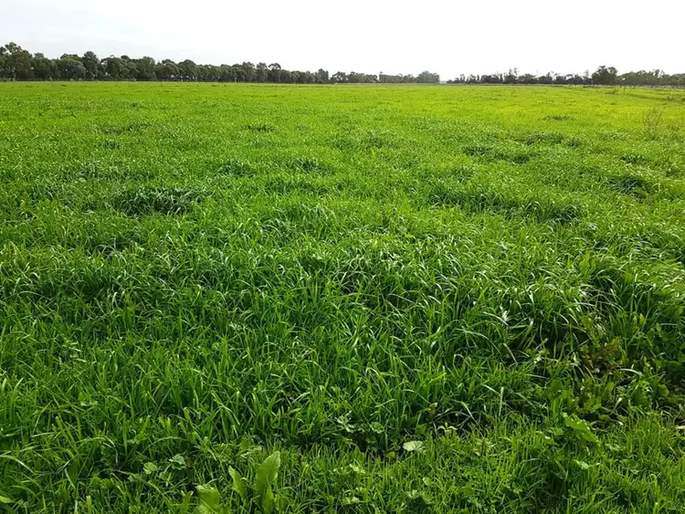 Second view of Homely rural property listing, 847 John Allen Road, Kyabram VIC 3620