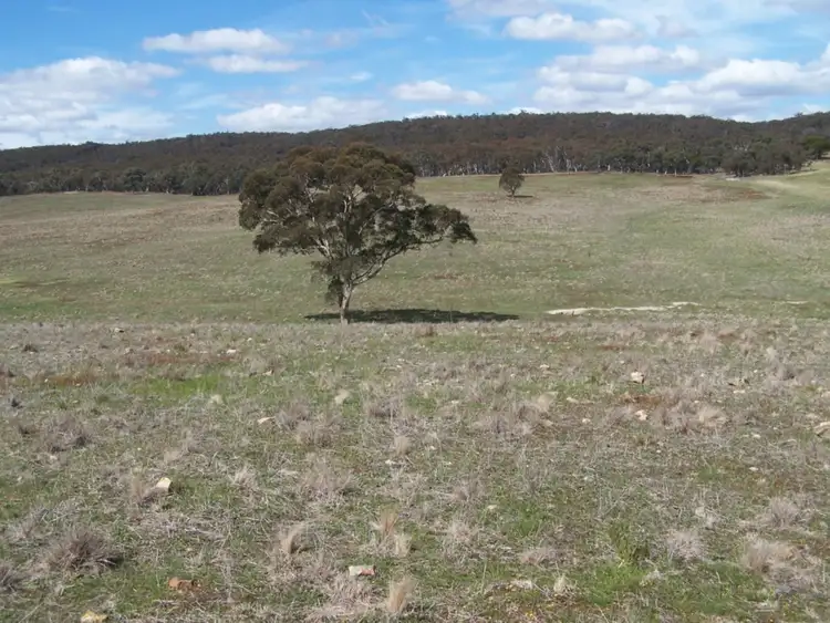 Sixth view of Homely rural property listing, Adore Bullamalita Road, Goulburn NSW 2580