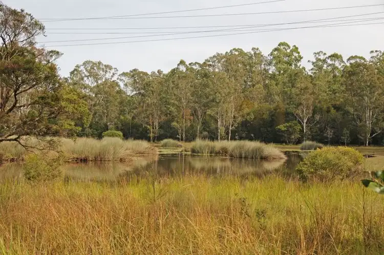 Sixth view of Homely rural property listing, Lot 51 Summerland Way, Gurranang NSW 2460