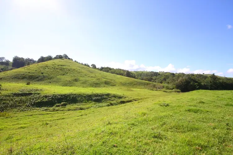 Third view of Homely rural property listing, 350 Upper Pinbarren Creek Road, Pinbarren QLD 4568
