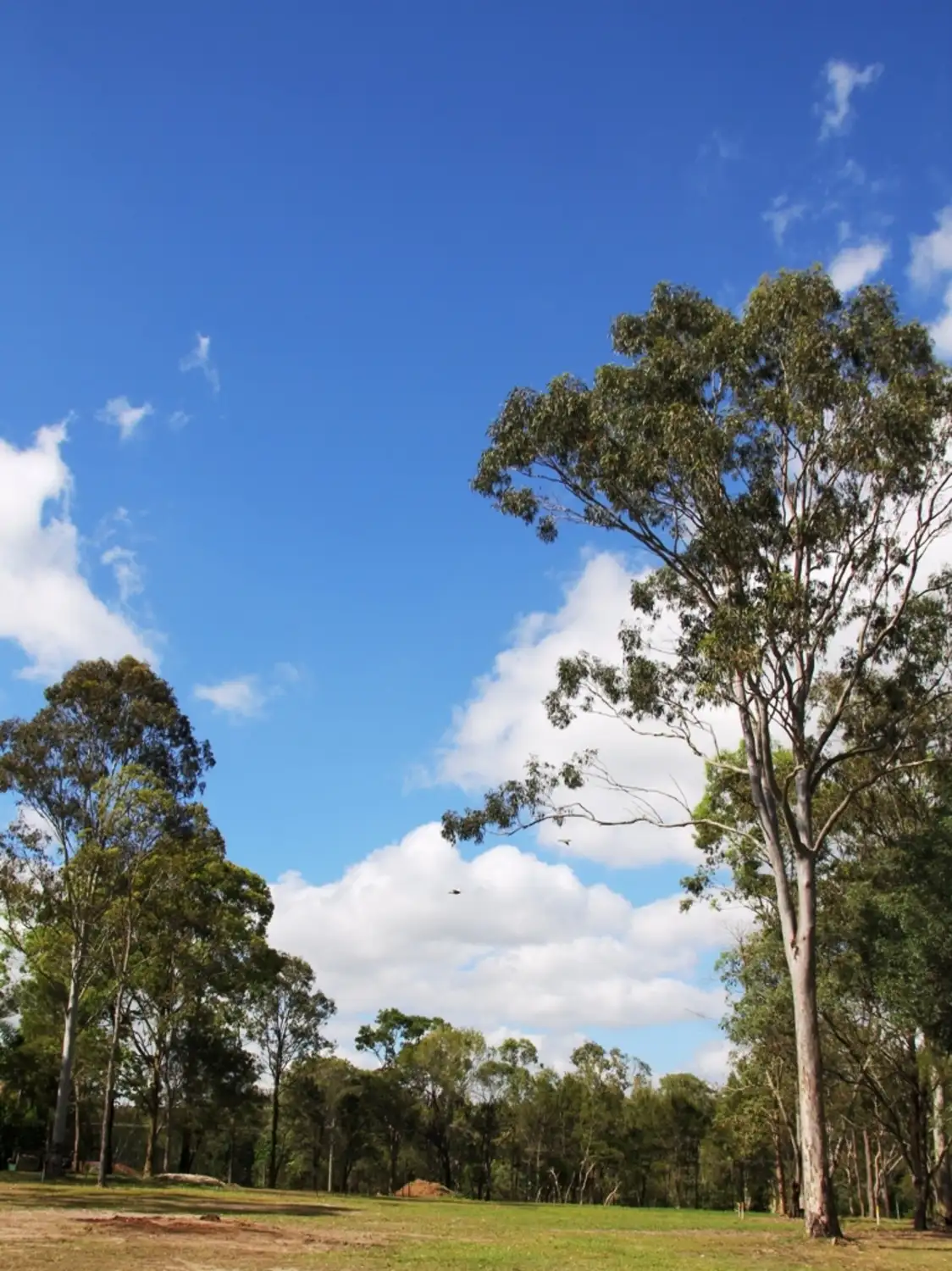 Main view of Homely rural property listing, 32 West Coorang Road, Cornubia QLD 4130