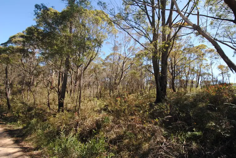 Second view of Homely land listing, 325 Chifley Road, Dargan NSW 2786