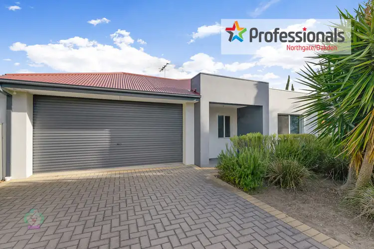 Main view of Homely house listing, 45 Vine Terrace, Klemzig SA 5087