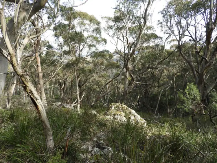 Second view of Homely rural property listing, 528 530 Mares Forest Road, Wombeyan Caves NSW 2580