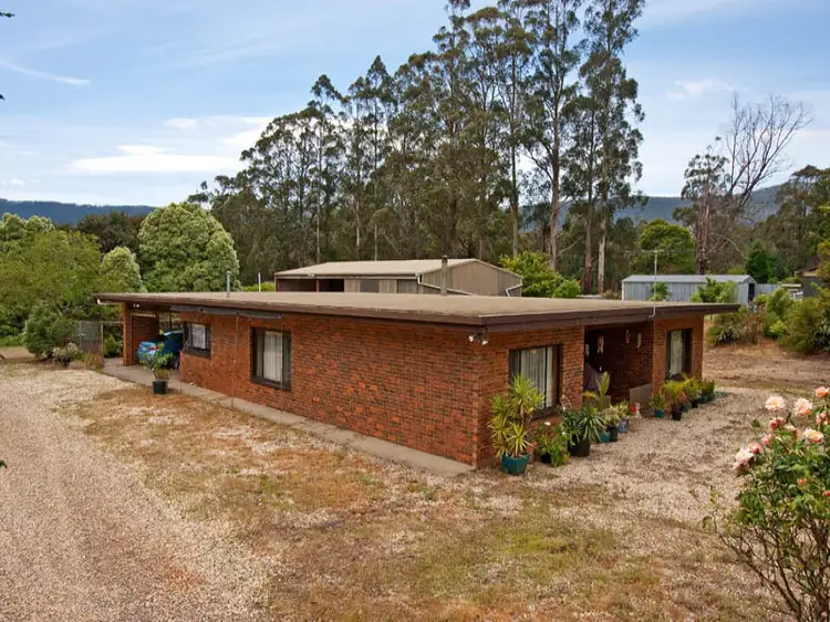 Main view of Homely rural property listing, 1370 Myers Creek Road, Toolangi VIC 3777