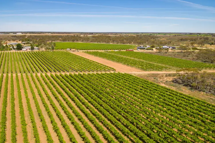 Third view of Homely rural property listing, Lot/2 & 3 Dow Avenue, Cabarita VIC 3505