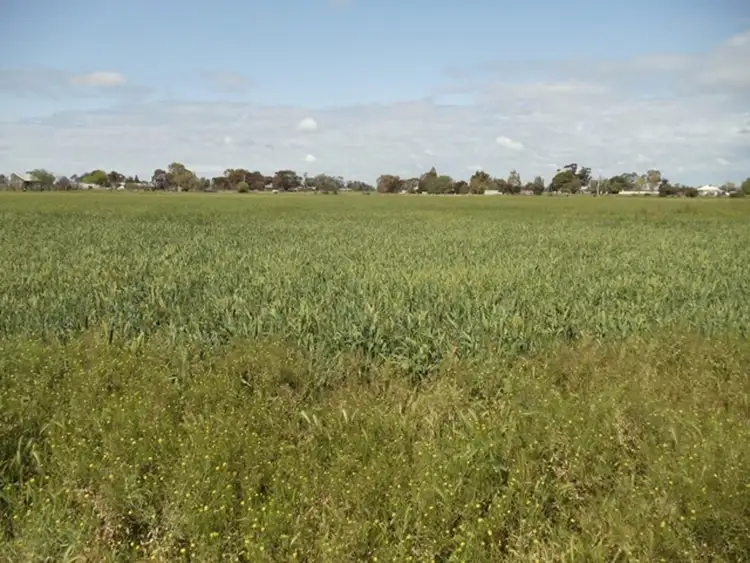 Fifth view of Homely rural property listing, 183 School Road, Beverford VIC 3590