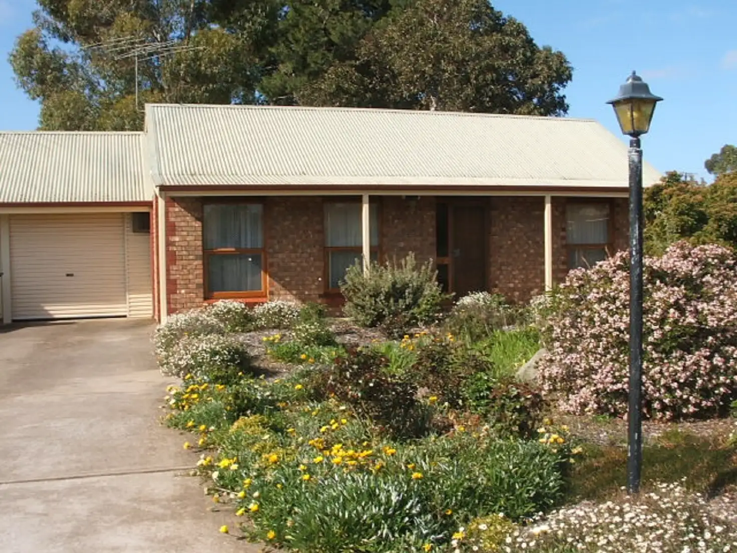 Main view of Homely house listing, 5/38 Myall Avenue, Murray Bridge SA 5253