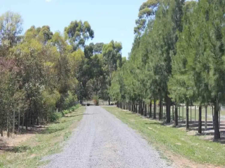 Third view of Homely house listing, 395 Dhurringile Road, Tatura VIC 3616