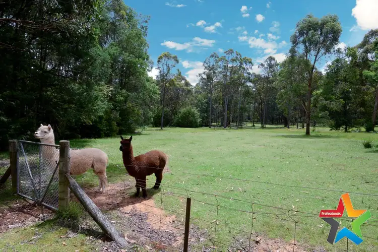 Fourth view of Homely house listing, 10 Hansen Creek Road, Hoddles Creek VIC 3139