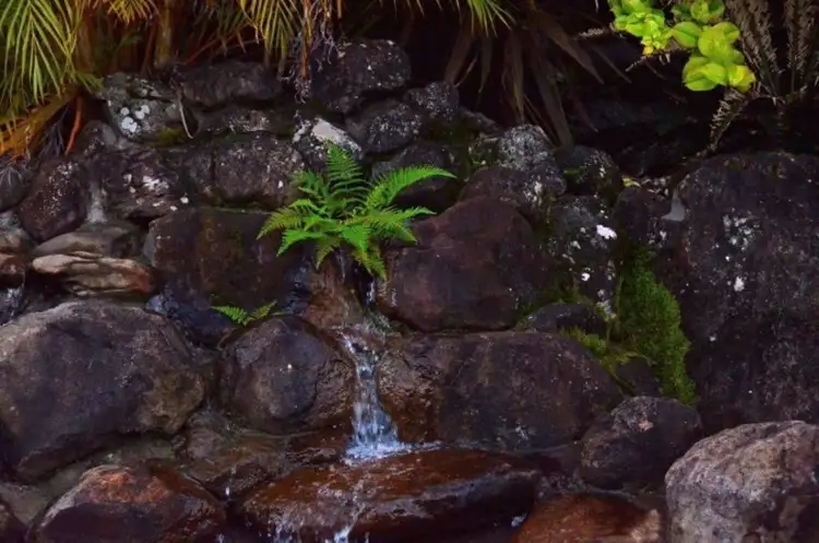 Sixth view of Homely rural property listing, 68 Fredricks Lane, Tintenbar NSW 2478