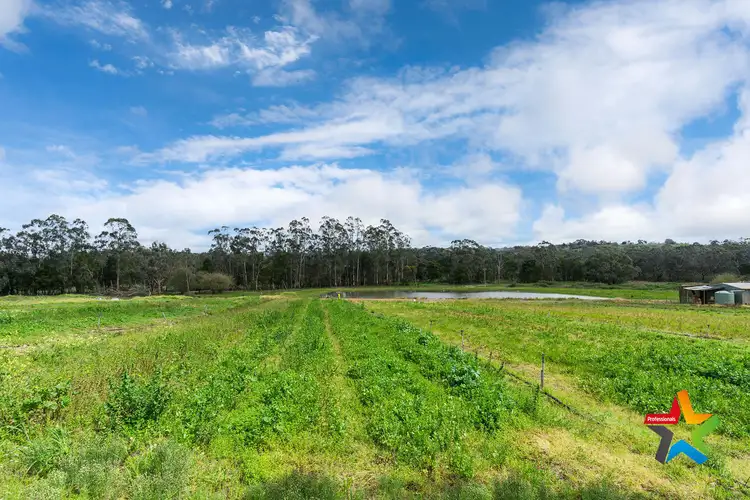 Main view of Homely land listing, 35 Foy Lane, Yellingbo VIC 3139