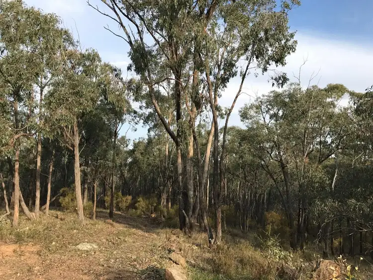 Third view of Homely land listing, 172 Native Gully Crescent, Eppalock VIC 3551