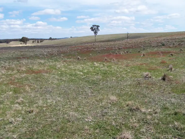 Third view of Homely rural property listing, Adore Bullamalita Road, Goulburn NSW 2580
