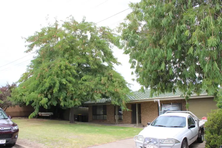 Main view of Homely house listing, 6 Vivien Avenue, Newton SA 5074