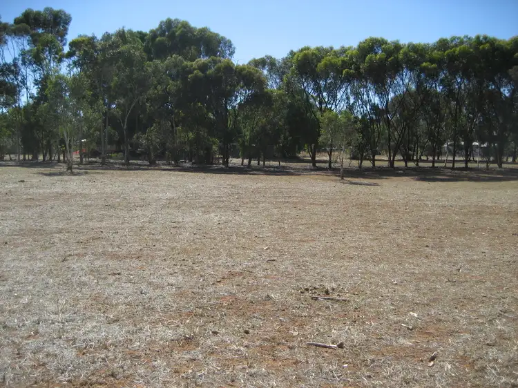 Third view of Homely land listing, 81 Gilbert Street, Tarlee SA 5411