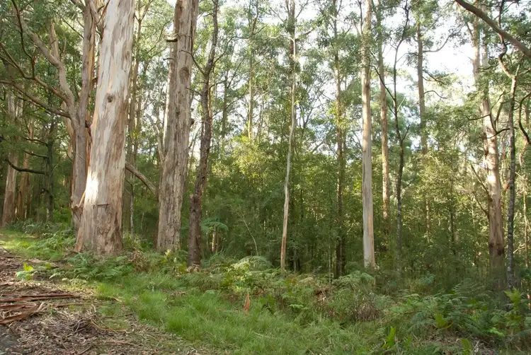 Seventh view of Homely land listing, 1055 Don Road, Healesville VIC 3777