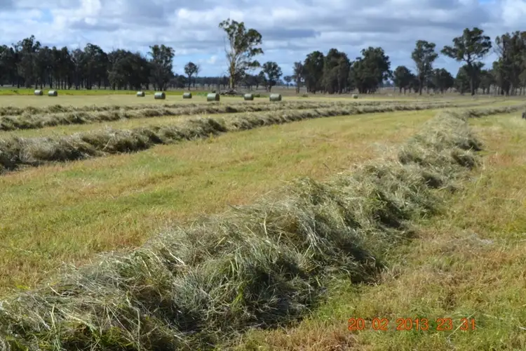 Sixth view of Homely rural property listing, 513 Westbrook Road, Guyra NSW 2365