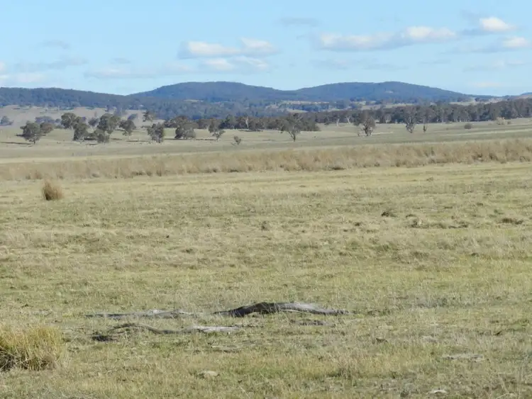 Fifth view of Homely rural property listing, Lot 2 Thornford Road, Goulburn NSW 2580