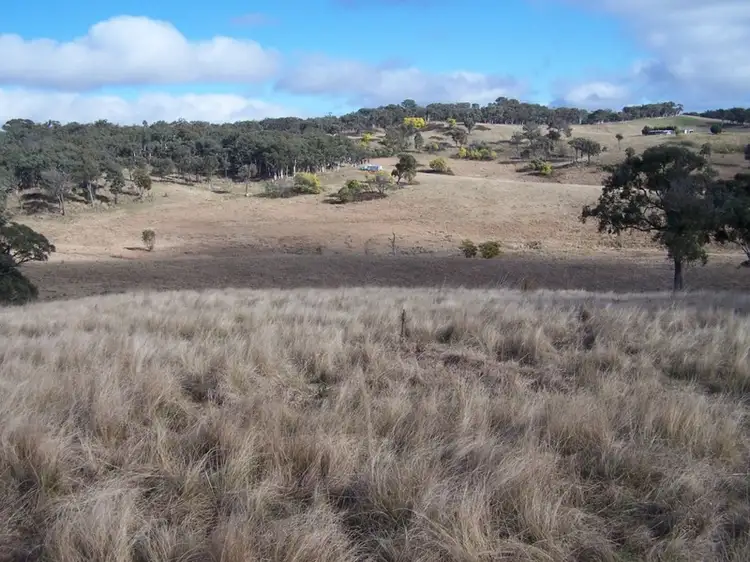 Fourth view of Homely rural property listing, 1252 Kangaloolah Road, Binda NSW 2583