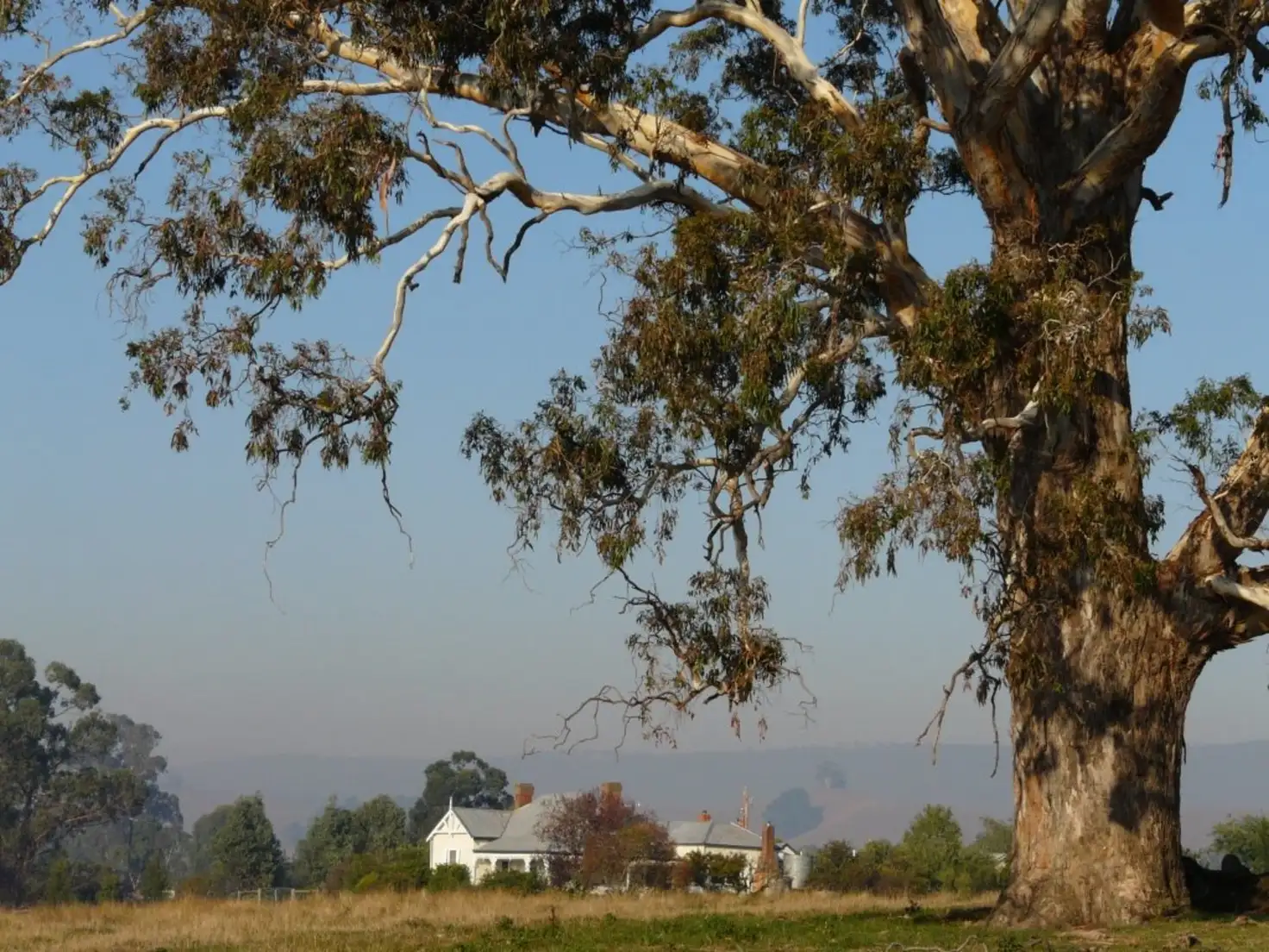 Main view of Homely house listing, 3915 Maroondah Highway, Acheron VIC 3714